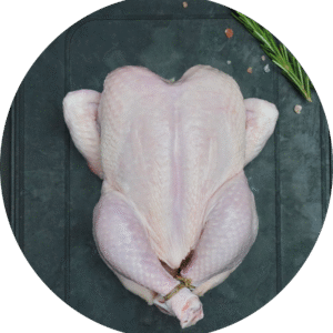 الدجاج الطازج